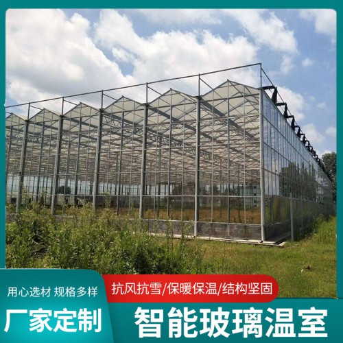 玻璃溫室 玻璃溫室大棚 鋼結構玻璃溫室棚 玻璃溫室棚廠家