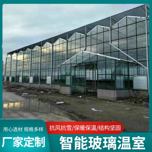 智能玻璃溫室 玻璃溫室大棚 鋼結構玻璃溫室棚 玻璃溫室棚廠家