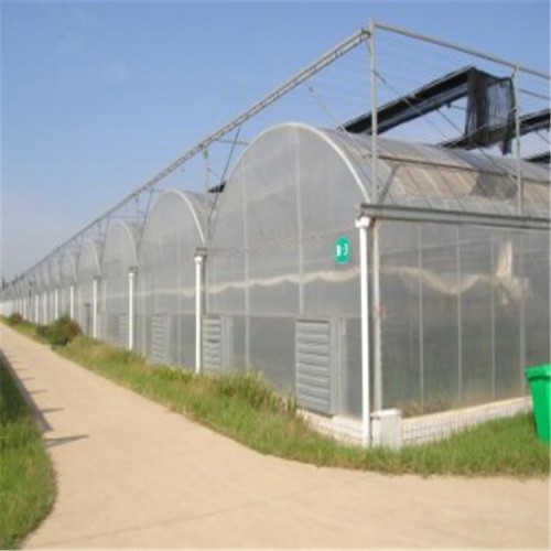 河南薄膜溫室大棚建造商 塑料薄膜溫室大棚的優點