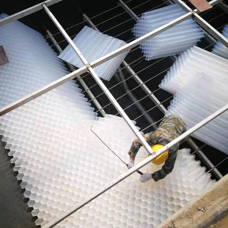 u=959001368,284570158&fm=199&app=68&f=JPEG