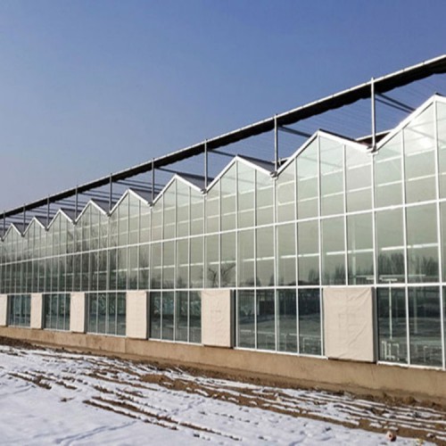 花卉溫室大棚建造商 新型溫室大棚工程 溫室大棚骨架設計