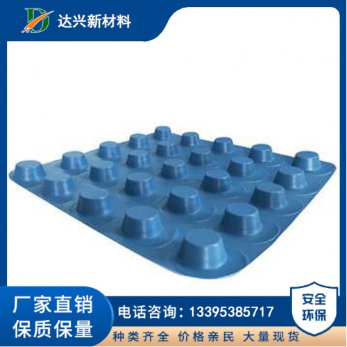 塑料凸片排水板 山東達興高品質