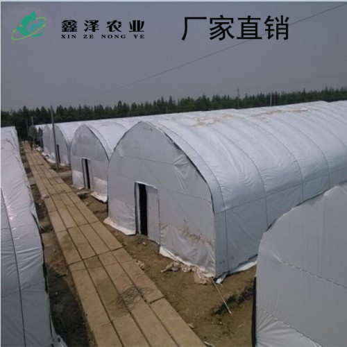 香菇大棚 養(yǎng)殖大棚 蘑菇大棚