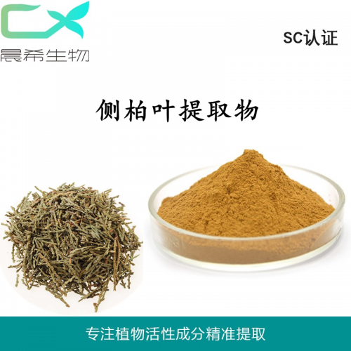 工廠直銷側柏葉香柏提取物10:1側柏葉粉側柏葉濃縮粉包郵