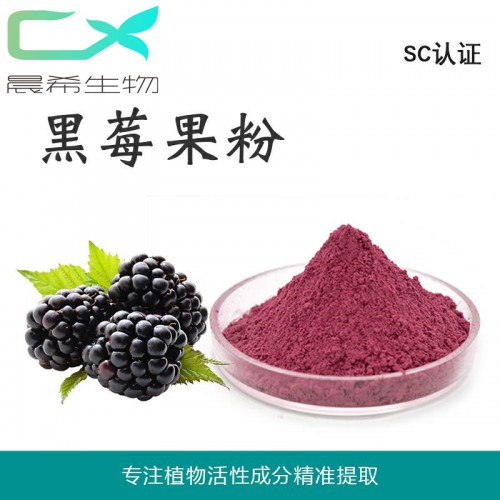 工廠直銷黑莓果粉 黑莓果汁粉黑莓粉水溶或醇溶1kg起訂包郵