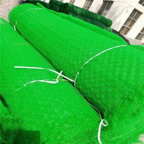 揚(yáng)州三維植被網(wǎng)