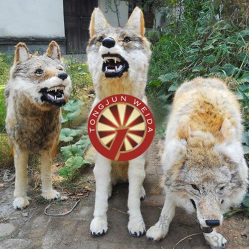 動(dòng)物王國游樂設(shè)備