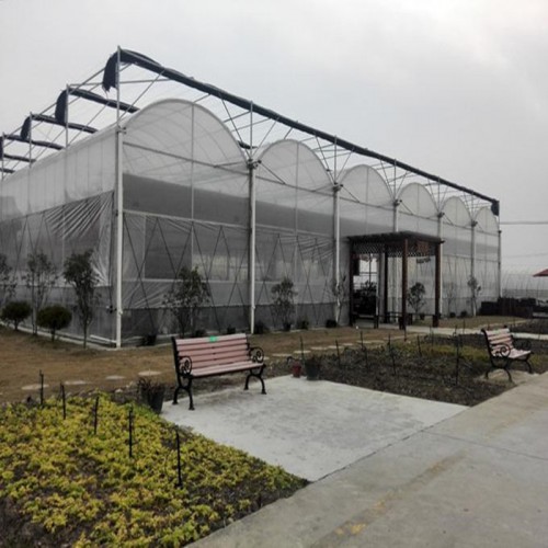 連棟薄膜溫室建造商 精良的薄膜溫室工程 連棟薄膜溫室的特點(diǎn)
