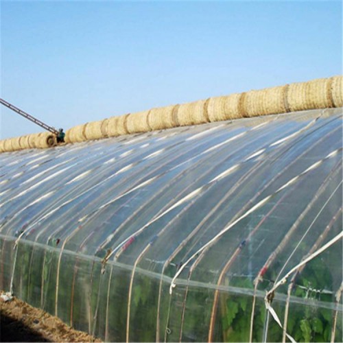 濰坊日光溫室大棚建設(shè) 日光溫室工程 日光溫室結(jié)構(gòu)特點(diǎn)