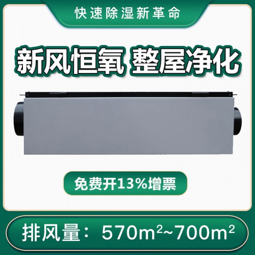 地下室新風除濕機 家用室內中央新風抽濕機