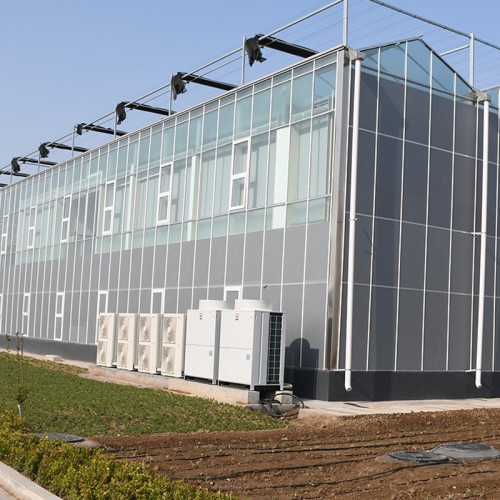 承接玻璃溫室大棚工程 連棟玻璃溫室構(gòu)建特點 玻璃溫室設(shè)計廠家