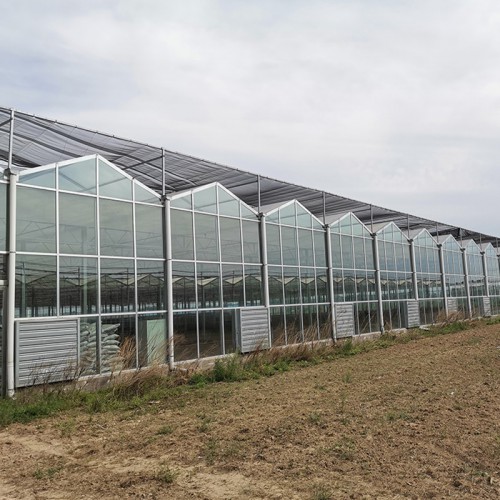 建造連棟溫室大棚工程 連棟溫室大棚骨架設(shè)計廠家 國聚溫室