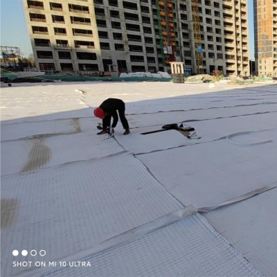 黑龍江 防護(hù)型虹吸排水系統(tǒng) 排水防護(hù)板 高分子防護(hù)排水異形片