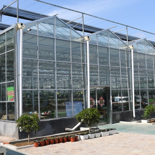現代智能溫室大棚建造商 連棟智能溫室工程 智能溫室的優勢
