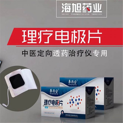 理療電極片 醫(yī)用電極貼片 溫?zé)嵬富?/></a>
 <p class=