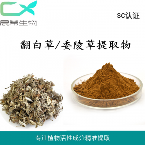 廠家翻白草、委陵草提取物全水溶或醇溶起訂量1KG現(xiàn)貨包郵