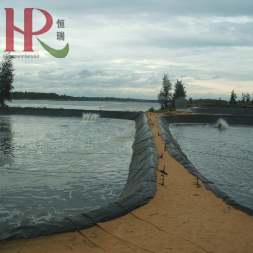 黑膜沼氣池0.6mm土工膜水產養殖池防滲1.5mm防滲膜廠家