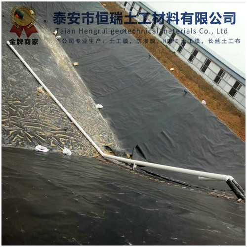 化糞池防滲膜哪里有 1.2mmHDPE防滲膜批發價多少