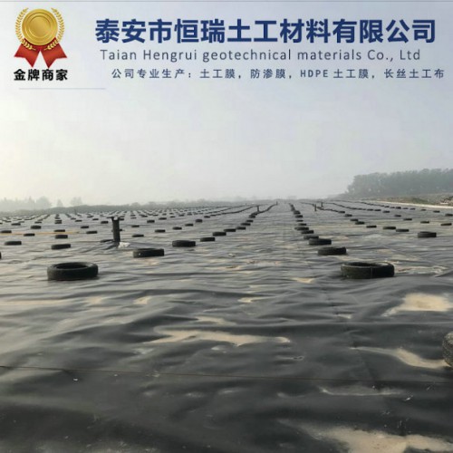 化工污水池防滲土工膜