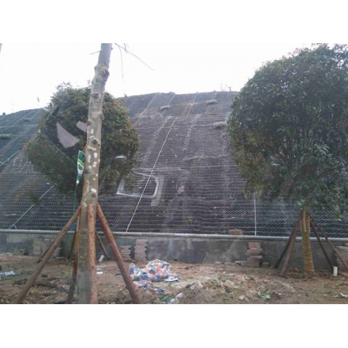 邊坡防護網33是指什么      邊坡防護網有什么作用