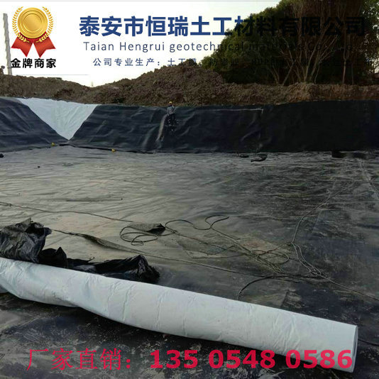 梅州1.5mm土工膜源頭直供