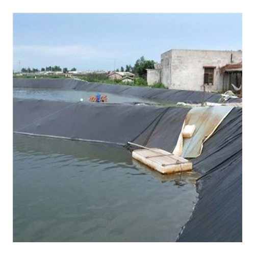 養殖防滲膜 河道護坡PE土工膜