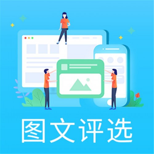 投票系統 網絡投票系統 在線投票系統