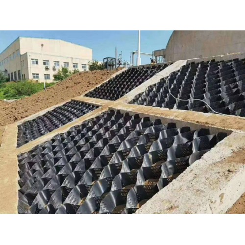 護(hù)坡蜂巢土工格室