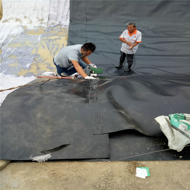 畜牧業沼氣池單毛面HDPE土工膜 蓄水池防滲hdpe土工膜 煉油廠污水池防滲膜