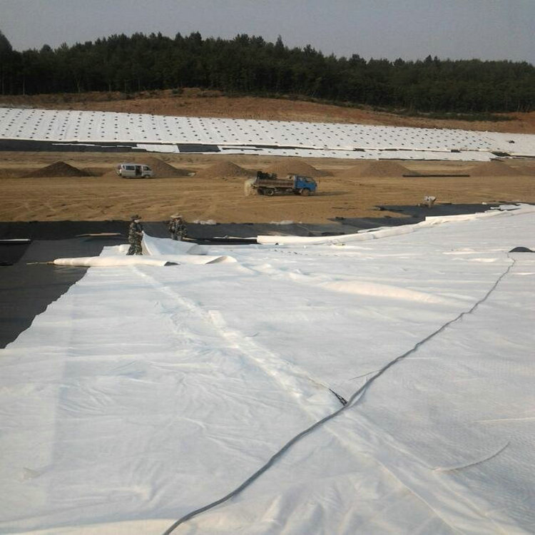 成都復(fù)合土工膜 油罐基礎(chǔ)防滲膜 鈉基膨潤土防水毯。