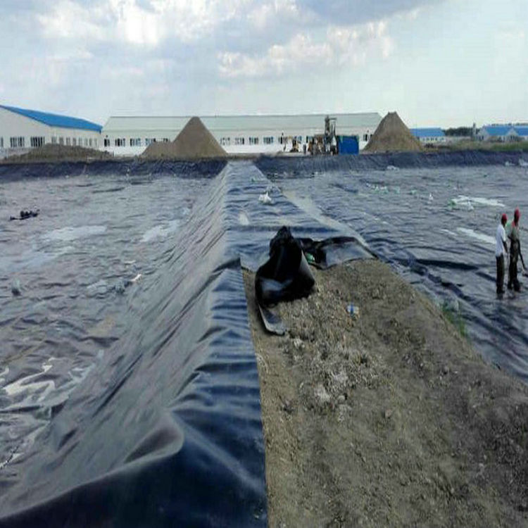 磷渣場基礎防滲1mm土工膜廠家自產自銷