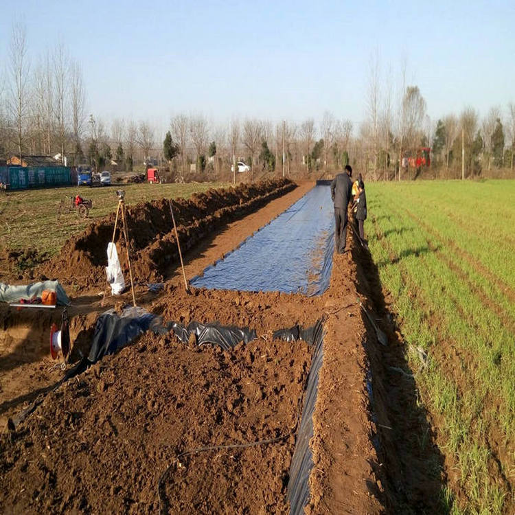 臨夏復合土工膜 600g長絲土工布 耐腐蝕土工膜