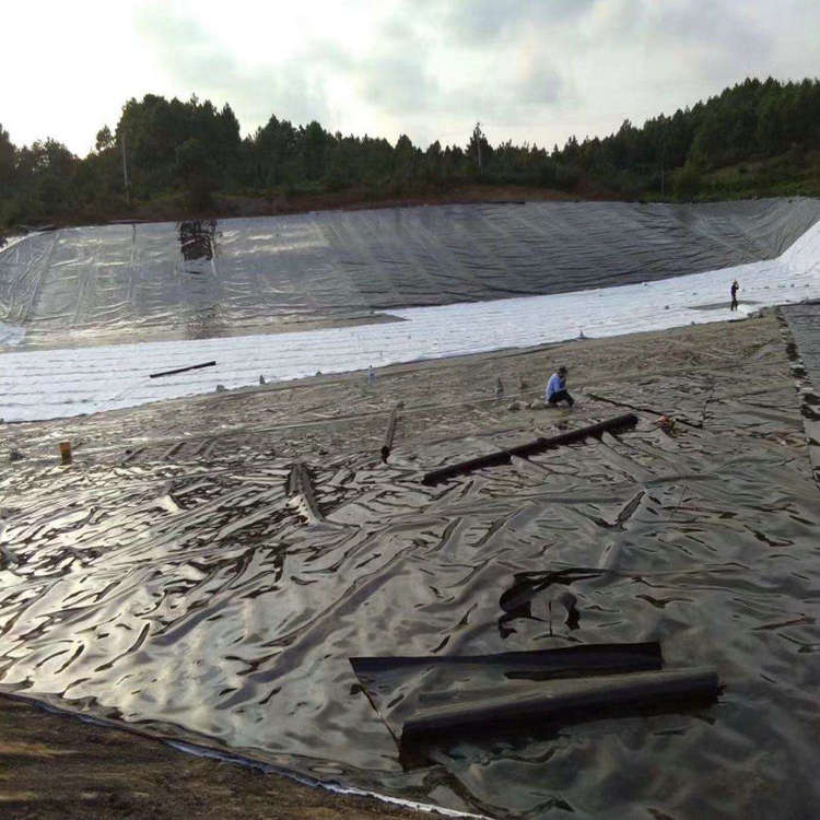 發(fā)電廠灰渣貯放灰壩土工膜防滲 沼氣池土工膜 防滲膜庭院