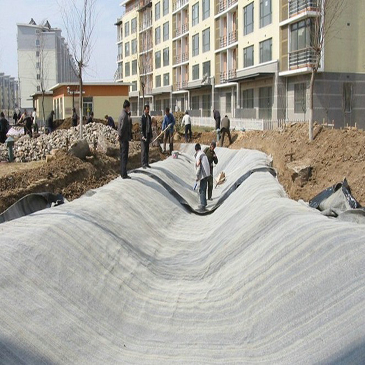 建筑工程類防滲2mm土工膜源頭生產廠