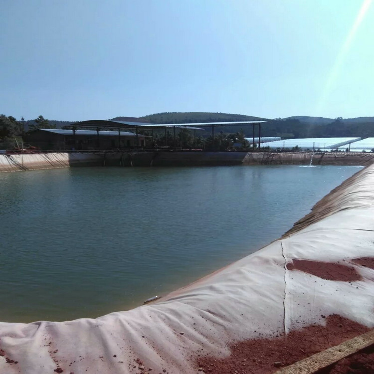 江河湖泊防滲膜 1.8mmHDPE土工膜產品批發價