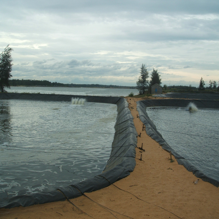 黑膜沼氣池HDPE土工膜1.0mm全新料覆蓋膜1.5mm