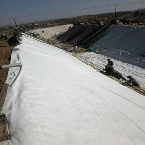 2.0mm飛灰填埋場HDPE防滲膜 黑膜沼氣池覆蓋膜 蓮藕防滲膜水混養技術