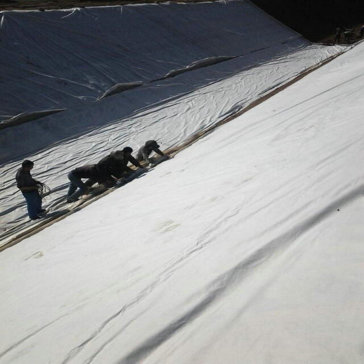 防滲膜定額商品批發價