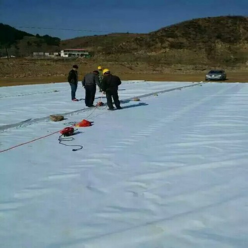 蓮藕池防滲用1.0mmHDPE防滲膜可量尺定做