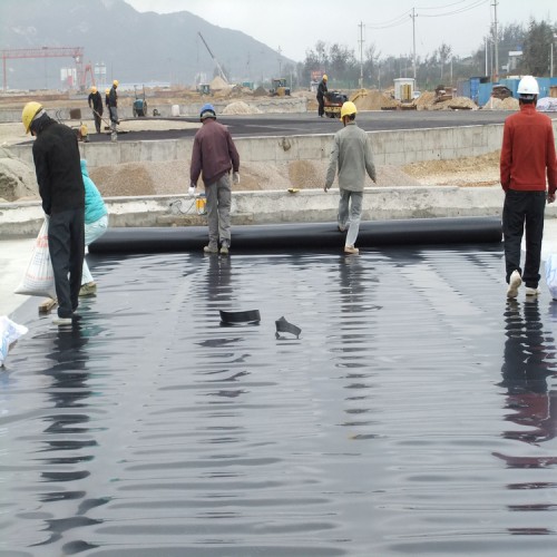 魚塘專用防滲膜生產廠家