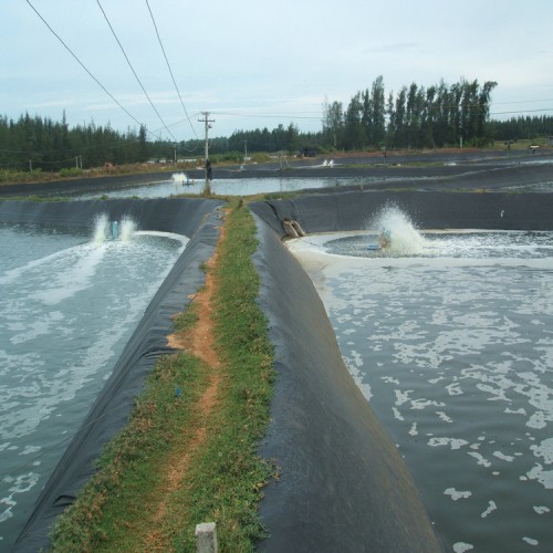 調節池土工膜 0.25mmHDPE防滲膜性能穩定