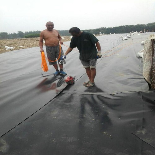 防滲膜養(yǎng)殖黃鱔 1.8mm防滲膜貨源充足