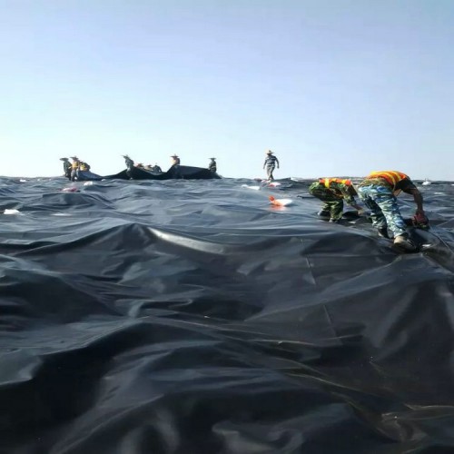 永寧儲油罐土工膜 填埋場土工膜精選廠家