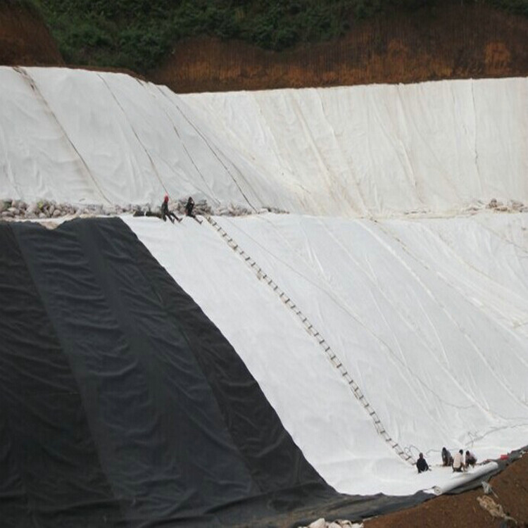 烏蘭察布復(fù)合土工膜廠家 防滲防腐土工膜 防水膜土工防滲膜