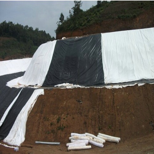 防滲膜防水生產(chǎn)廠家