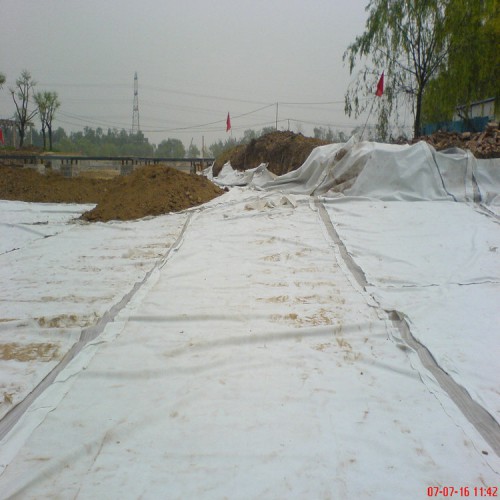 蓄水池防滲1.5mm土工膜 0.30mmHDPE土工膜生產廠家