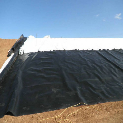 龍海具有口碑的HDPE防滲膜,泰安市地區質量好的HDPE防滲土工膜