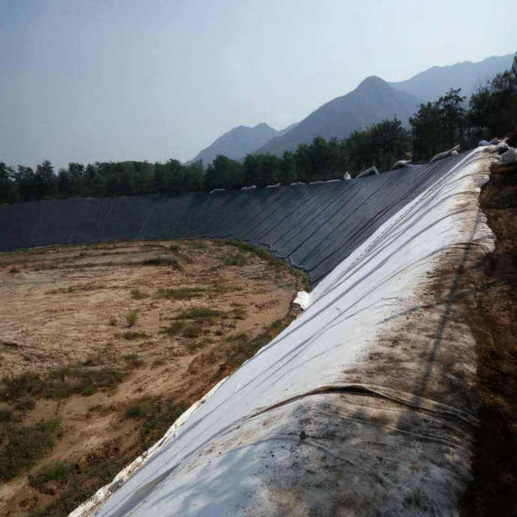 600g長絲復(fù)合土工膜 土工防滲膜HDPE土工膜