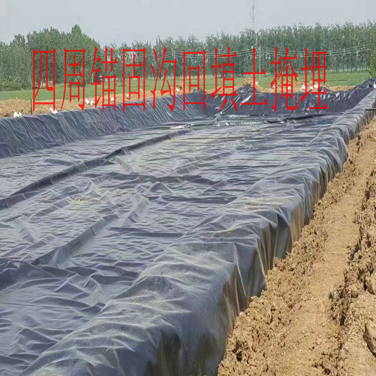 尾礦壩防滲用2mm防滲膜生產廠家