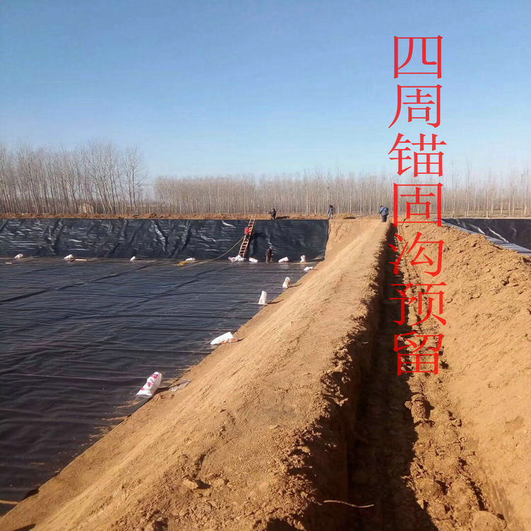 600g長絲復(fù)合土工膜 土工防滲膜HDPE土工膜